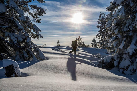 Avalanche training with snowshoe hike in Berchtesgaden LVS training with snowshoe hike in Berchtesgaden