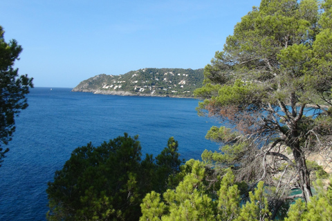 Cala Millor: Buggy oder Mini Jeep Tour - ca.3 StundenCala Millor: Buggy Entdeckungstour ca. 3 Stunden