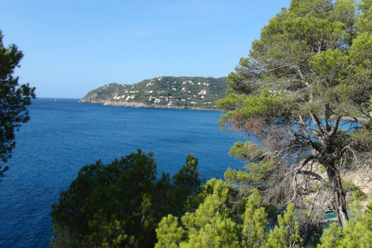 Cala Millor: Buggy oder Mini Jeep Tour - ca.3 StundenCala Millor: Buggy Entdeckungstour ca. 3 Stunden