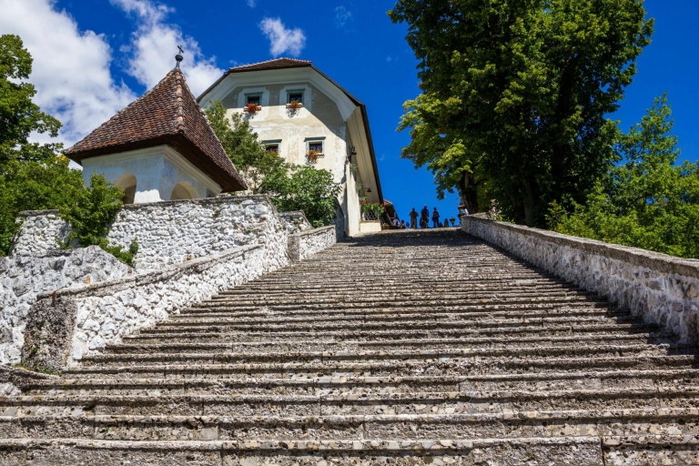 Desde Liubliana: tour de medio día por el lago Bled