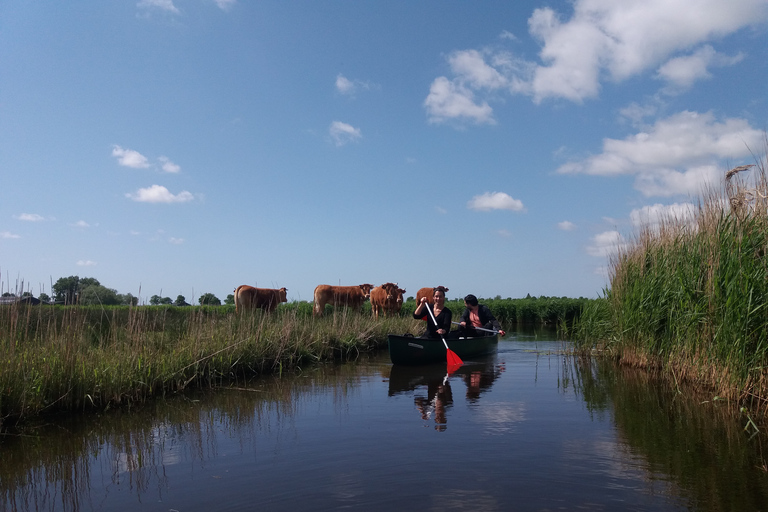 Amsterdam: Dutch Countryside Sunset Canoe Tour