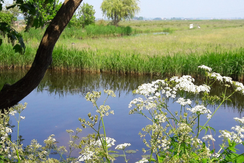 Amsterdam: Dutch Countryside Sunset Canoe Tour