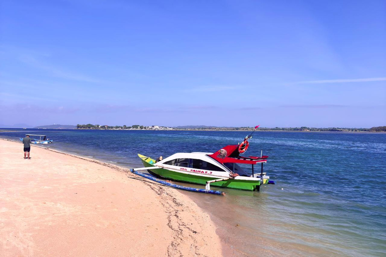 Lombok: Private Pink Beach and Gili Islands Boat Tour