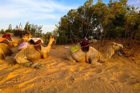 Von Saly: Tagesausflug in die Wüste von Lompoul mit Kamelritt