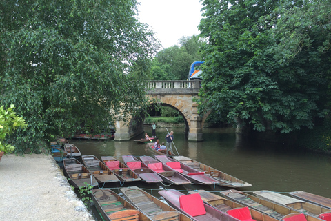 Oxford: Tour privado de la ciudad y aspectos históricos destacados de la UniversidadVisita guiada en español