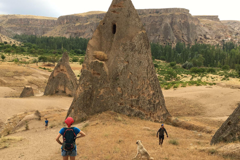 Cappadoce : Demi-journée de randonnée Amour et Vallée des PigeonsOption standard