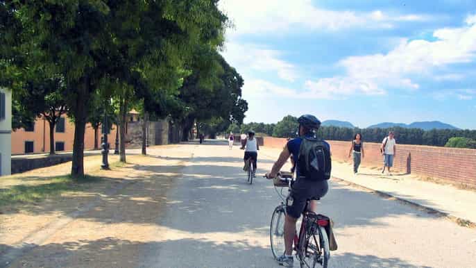 lucca 1hour 3hour or 24hour bike rental