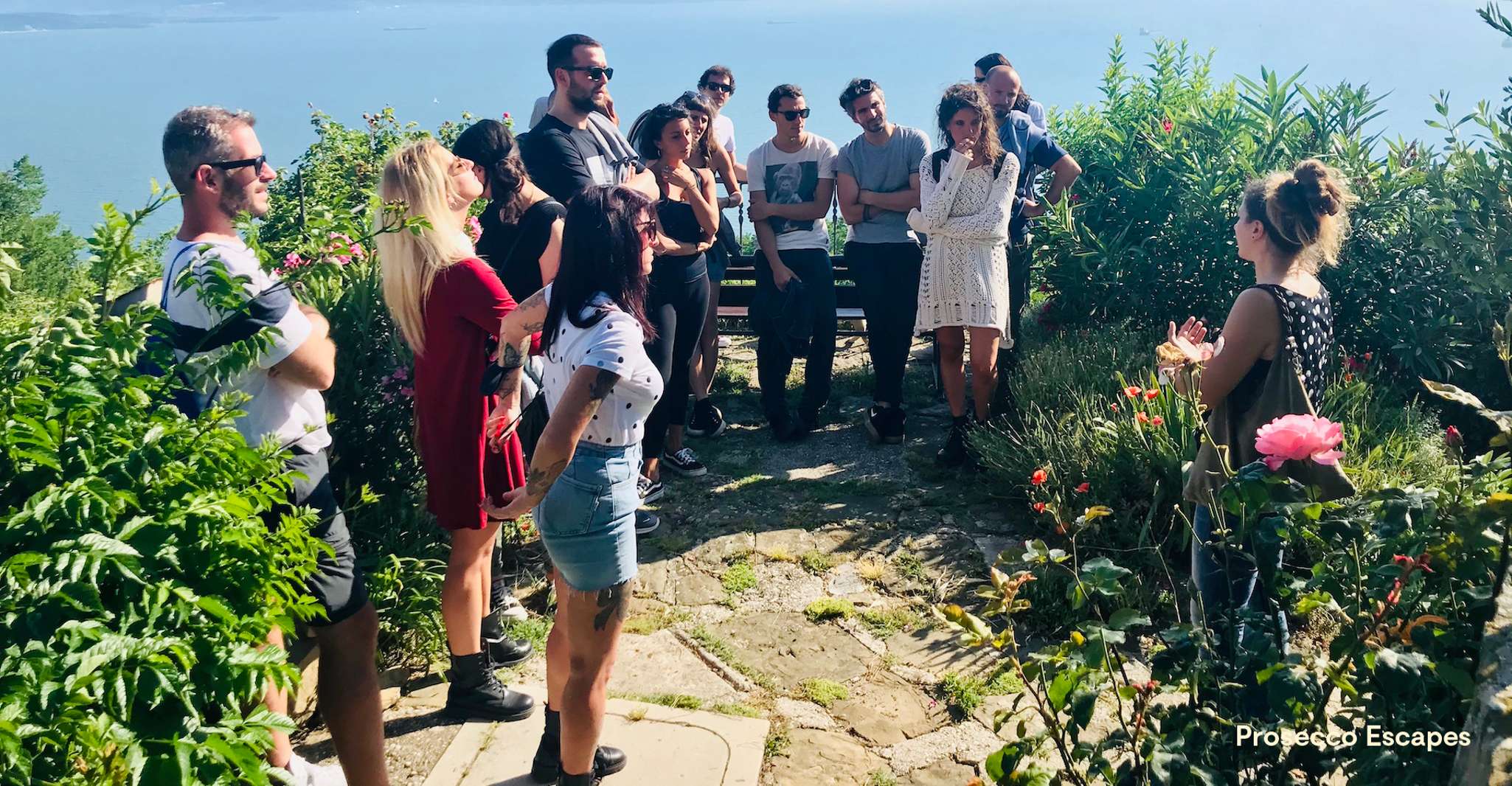 Trieste, 2,5 ore - Prosecco Origins Tour e Degustazioni - Hizvo