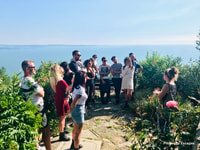 Trieste, 2,5 heures Prosecco Origins Tour et dégustations - Hizvo