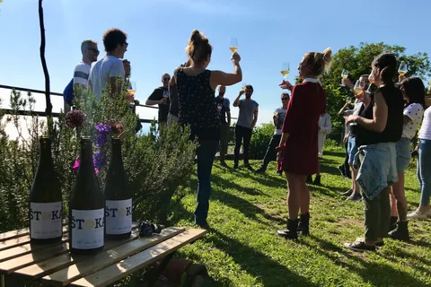 Trieste: 2.5-Hour Prosecco Origins Tour and Tastings