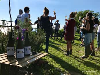 Trieste: 2.5-Hour Prosecco Origins Tour and Tastings