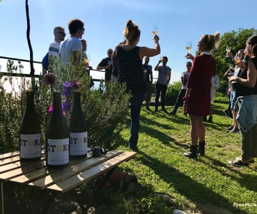 Trieste: 2.5-Hour Prosecco Origins Tour and Tastings