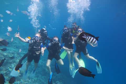 Hurghada: przygoda nurkowania