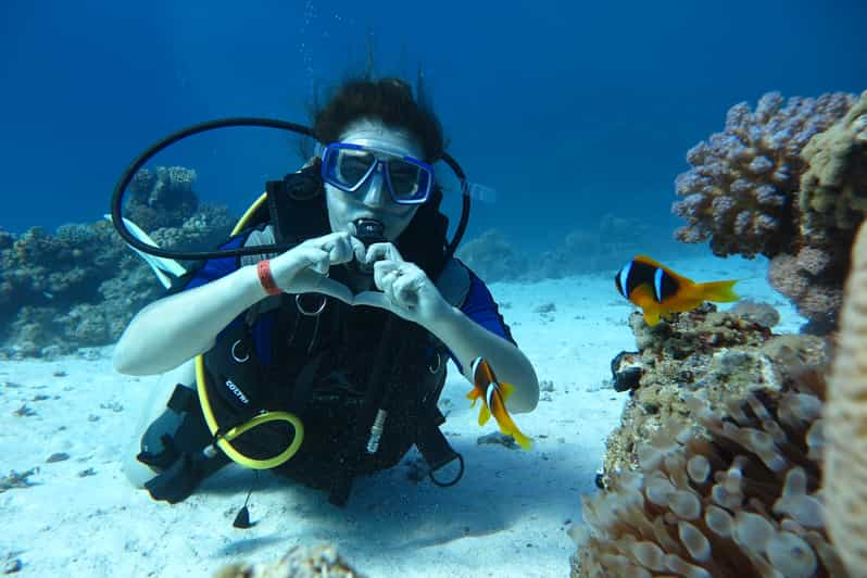 Hurghada Aventure De Plong E Sous Marine Getyourguide