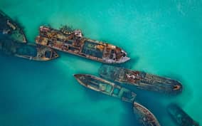 Brisbane: Moreton Island Return Ferry & Adventure Day Pass