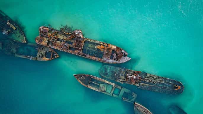 brisbane til moreton island ferge og et eventyrlig dagspass