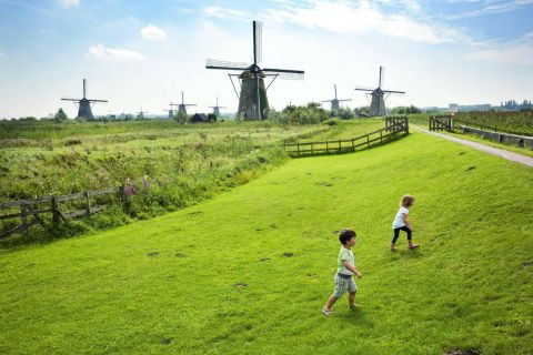 Vanuit Rotterdam: UNESCO Kinderdijk, Euromast & Spido Dagtrip