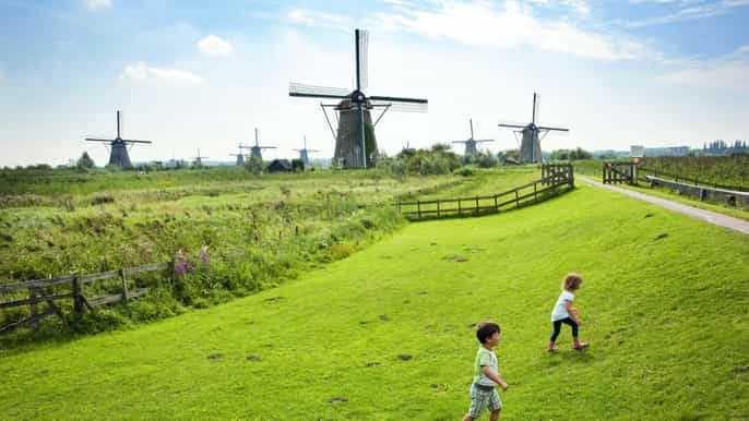 desde rotterdam excursión de un día a la unesco kinderdijk euromast y spido