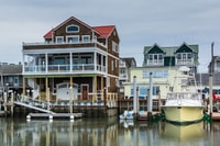 Cape May, 2 ore di delfini che guardano la crociera - Hizvo