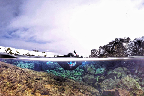 Från Reykjavík: Gyllene cirkeln med snorkling i SilfraGyllene cirkeln rundtur &amp; snorkling i Silfra från Reykjavik