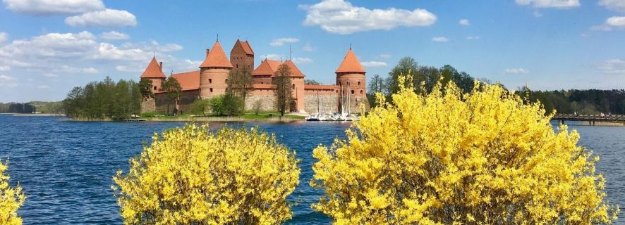 Vilnius: Half-Day Sightseeing Tour to Trakai