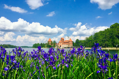 Vilnius: Half-Day Sightseeing Tour to Trakai
