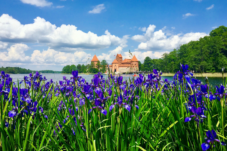 Vilnius: Half-Day Sightseeing Tour to Trakai