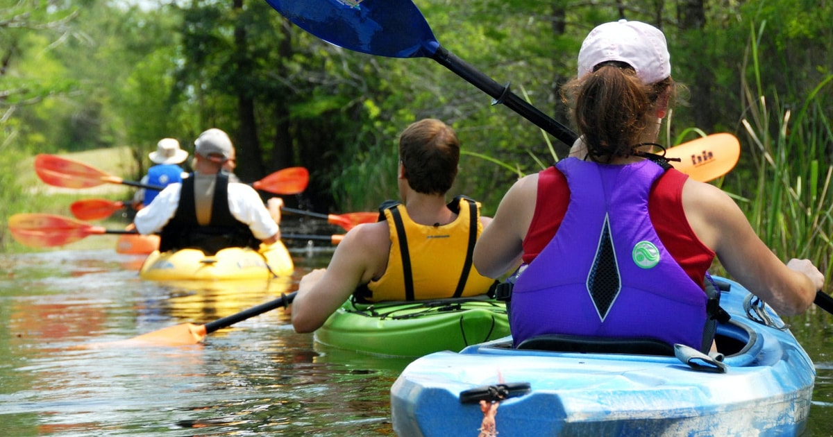 Hilton Head Guided Kayak Tour GetYourGuide