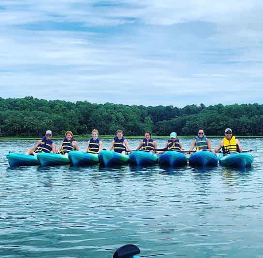 Hilton Head Guided Kayak Tour GetYourGuide