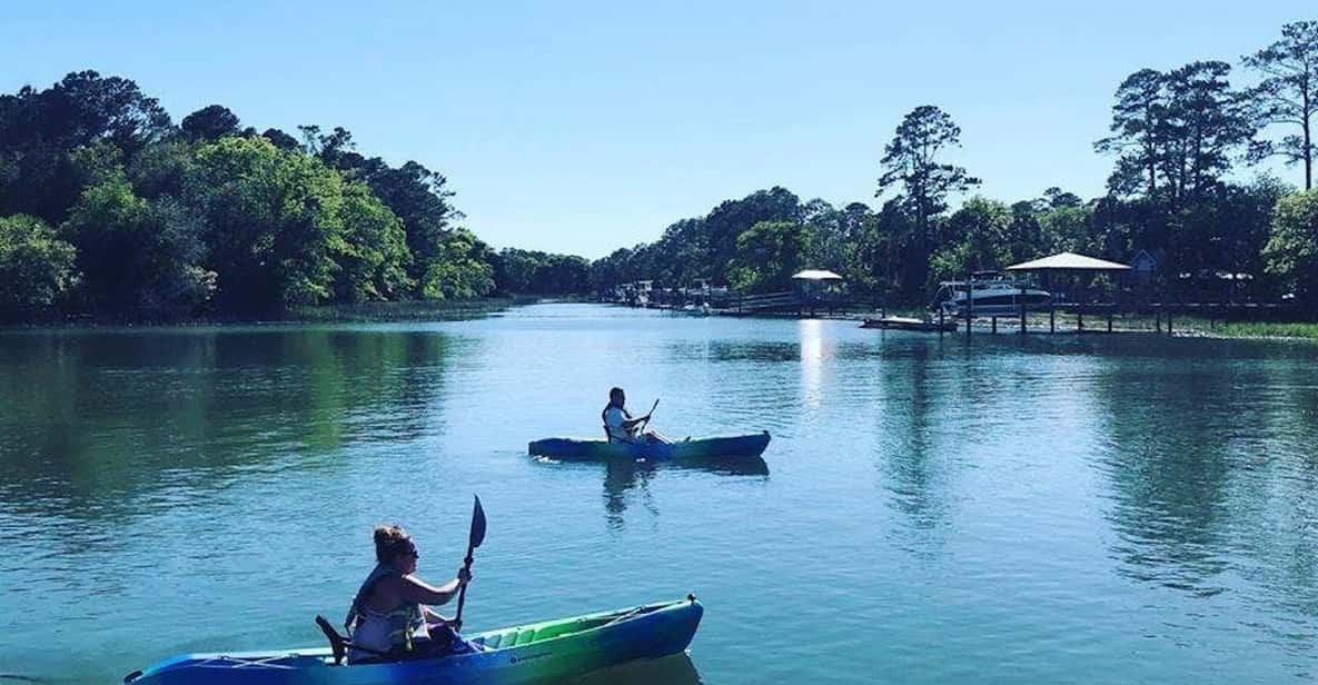 Hilton Head Guided Kayak Tour GetYourGuide