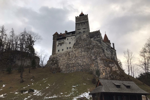 De Brasov: visite des châteaux et de ses environsOption standard