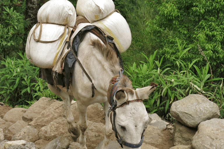 Entdecke den Everest in 5 Tagen: Trek von Kathmandu nach Namche Bazaar