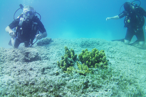 Chania: Scuba Diving and Snorkeling for Beginners by Boat