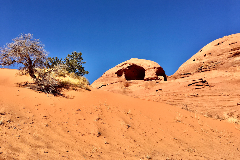 Circuit d&#039;une journée complète à Monument Valley et Mystery Valley