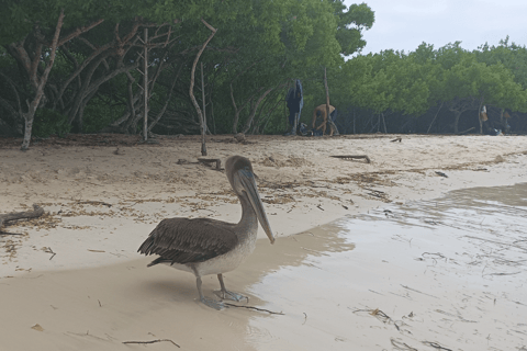 4 days tour in Galapagos Las Grietas and Tortuga Bay