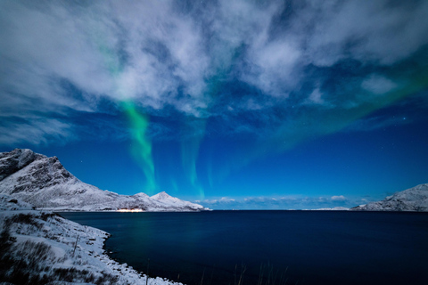 Remote Arctic Fjord Expedition to Grøtfjord & Rekvik