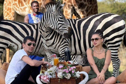 Arusha: 1 Day Serval Wildlife-Petting Lion & Feeding Animals