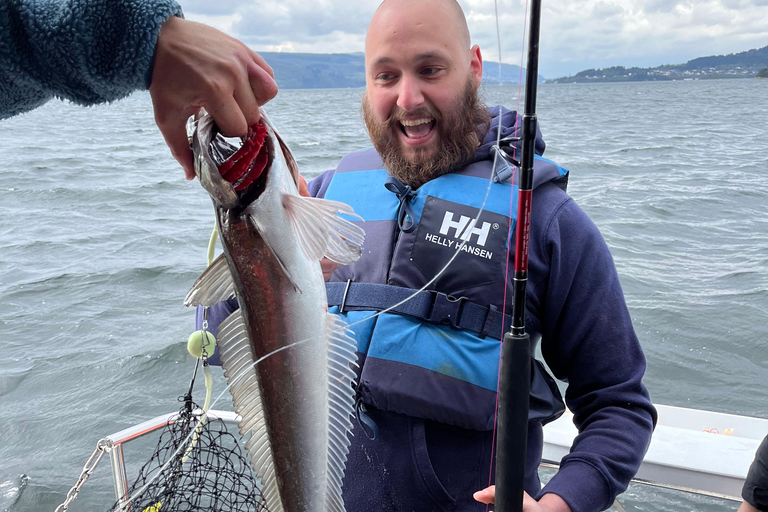 Bergen: Sea Safari with fishing and hauling of crab pots