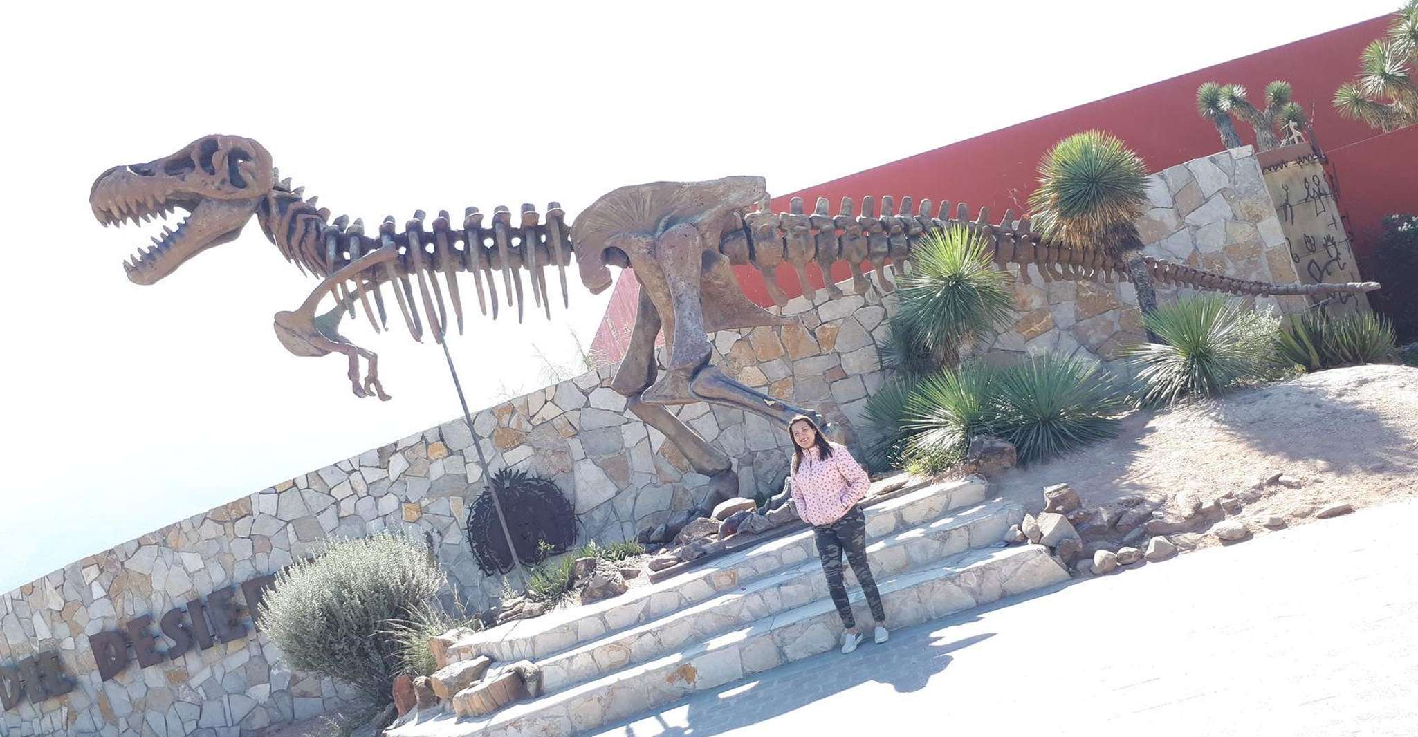 Monterrey, Desert Museum Tour - Hizvo