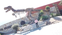 Monterrey, visite du musée du désert - Hizvo