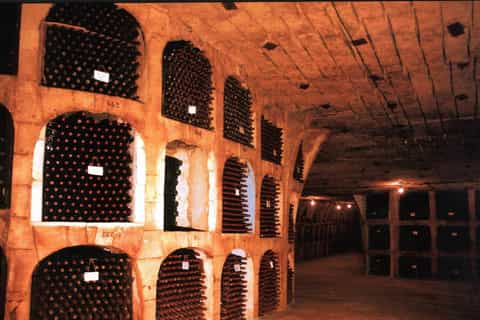 Slănic Salt Mine (World's best air ) and Wine Taste