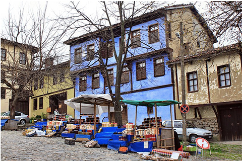 Depuis Istanbul: excursion privée d'une journée à Bursa