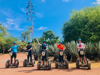 Etang-Salé les Hauts, Segway Green Tour - Hizvo