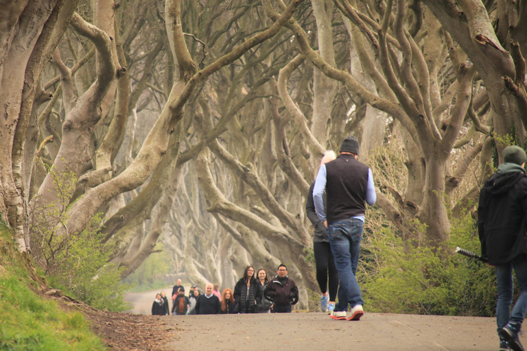 Belfast: Giants Causeway i North Coast Small Group Tour