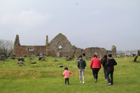 Belfast, Giants Causeway e North Coast Small Group Tour - Hizvo