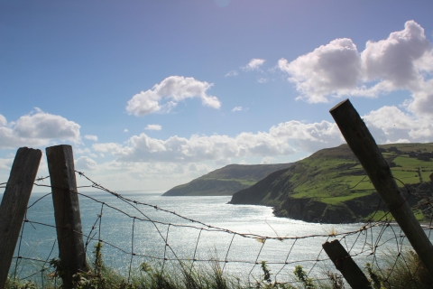 Belfast: Giants Causeway and North Coast Small Group Tour