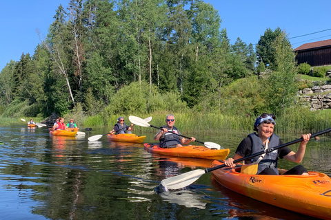 Oslo: Guided Kayak Tour on Lake Langen with Lunch