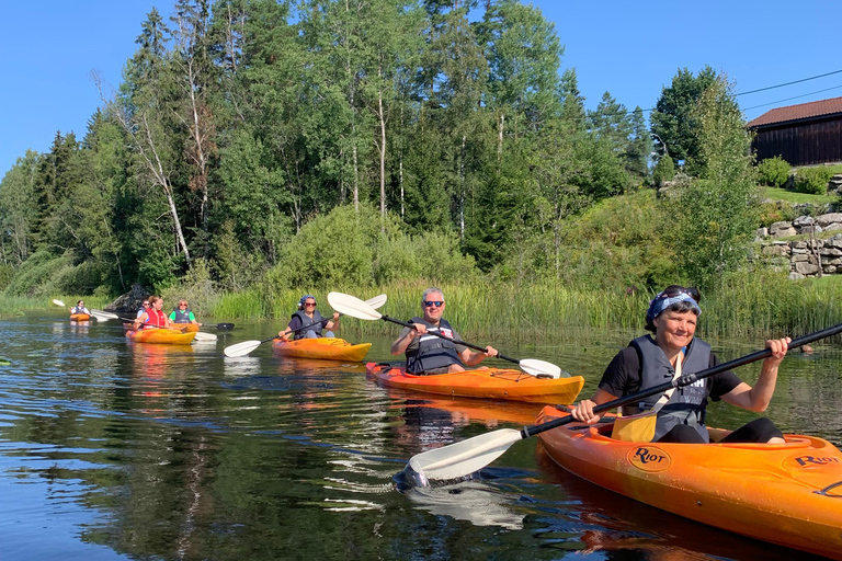 Oslo: Guided Kayak Tour on Lake Langen with Lunch