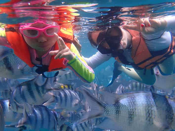 Koh Samui Island Hopping & Snorkeling with Pig Island Visit GetYourGuide