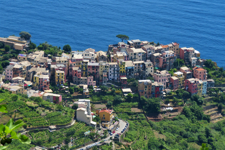 Cinque Terre Private Day Trip from Florence